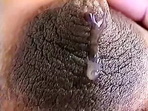 سازمان دیده بان چگون ...