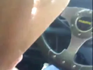 دباغی, خروس سیاه بزر ...
